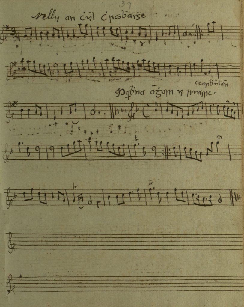 Eleanor Plunkett: a rough copy of the tune, a Nelly an chuil chraobhaigh, in James Cody's manuscript, c1805-1810, Queen's University Belfast, Special Collections MS4.6.048