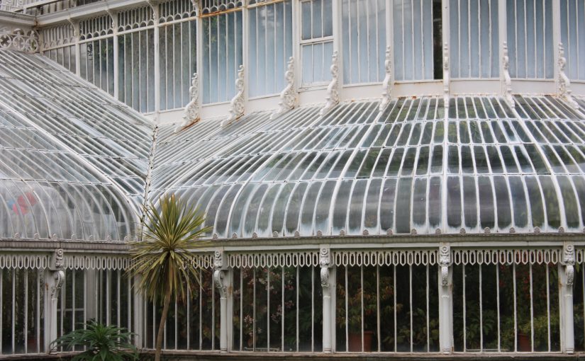 Botanic Gardens Palm House, Belfast. © Ardfern, 2019, cc-by-sa