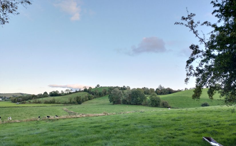 View of the countryside a mile south of Cootehill